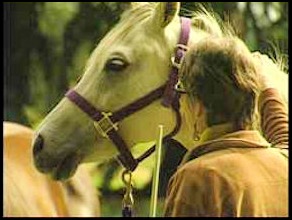 Penelope Smith and horse consutation